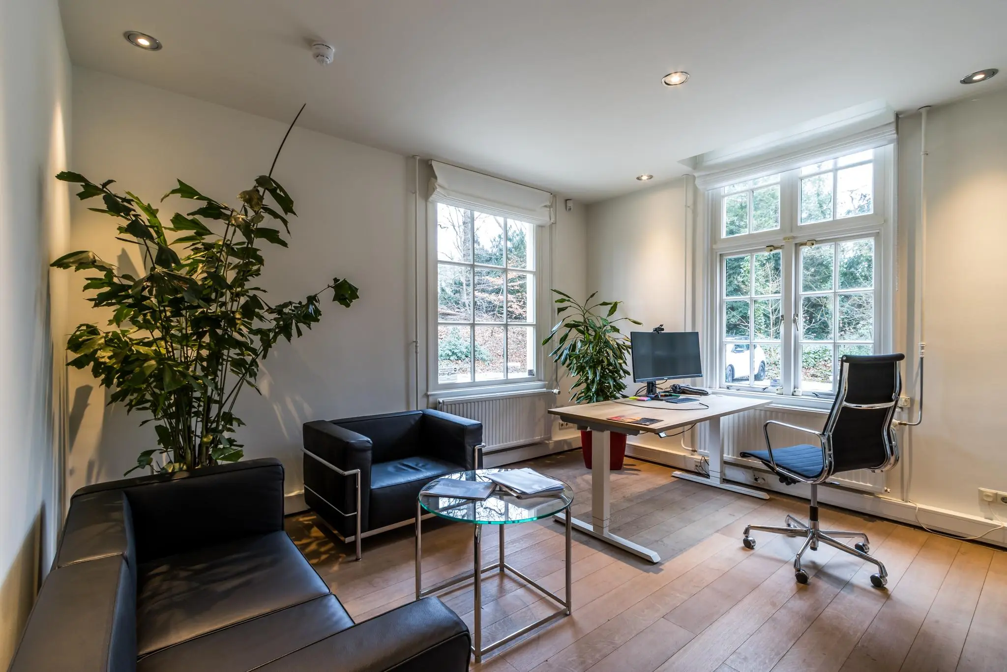 Modern ingericht kantoor aan de Driebergseweg met een bureau bij het raam, loungestoelen en grote kamerplanten.