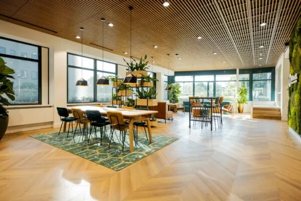 Modern ingerichte kantoorruimte aan de Euclideslaan met veel daglicht, houten vloer, groene planten en designmeubilair.