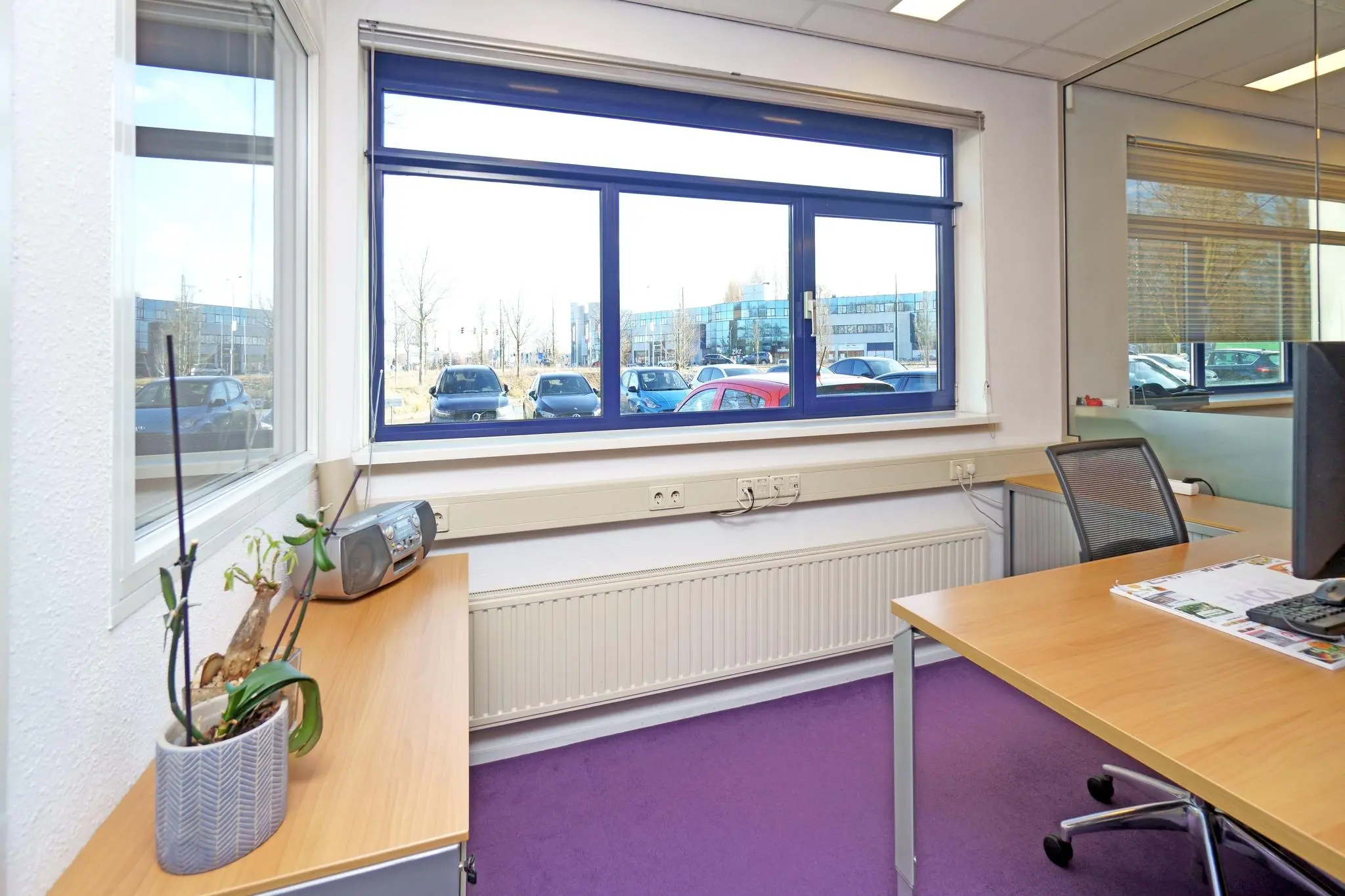 Modern ingericht kantoor met paarse vloerbedekking, houten bureaus en uitzicht op een parkeerplaats aan de Zuiderweg.