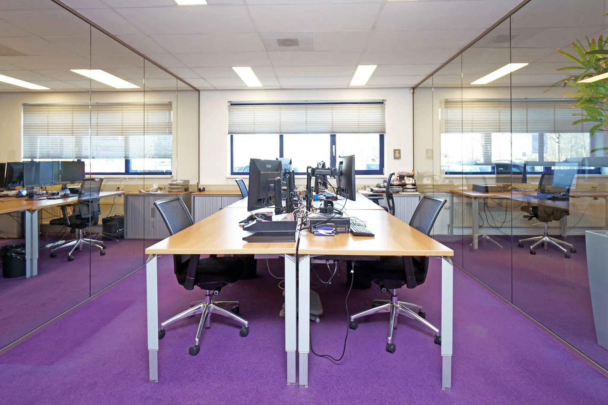 Modern kantoor met glazen wanden, paarse vloerbedekking en meerdere werkplekken met computerschermen aan de Zuiderweg.