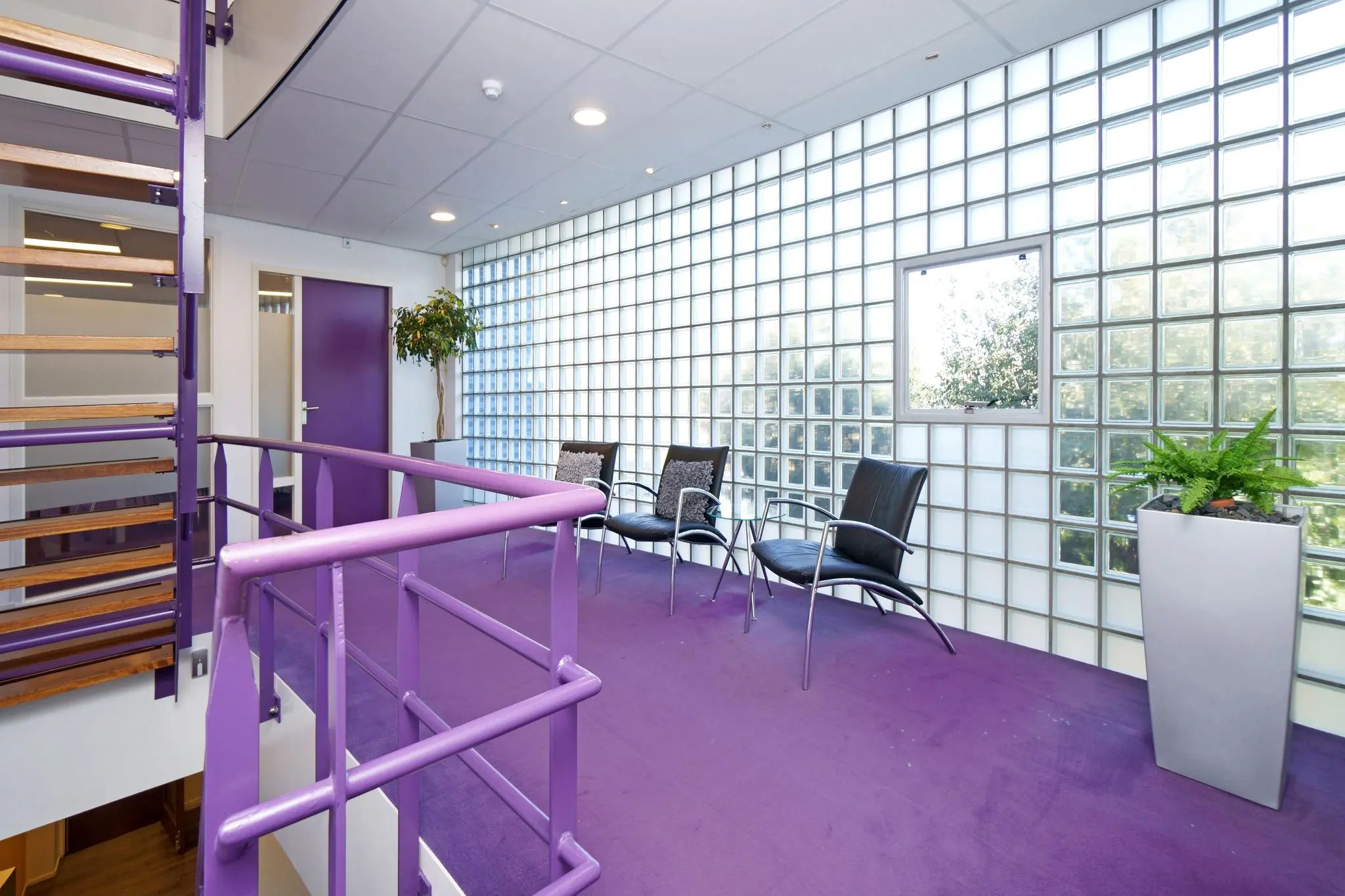 Wachtruimte met paarse vloer, glazen bouwstenenmuur, zwarte stoelen en planten op de Zuiderweg.