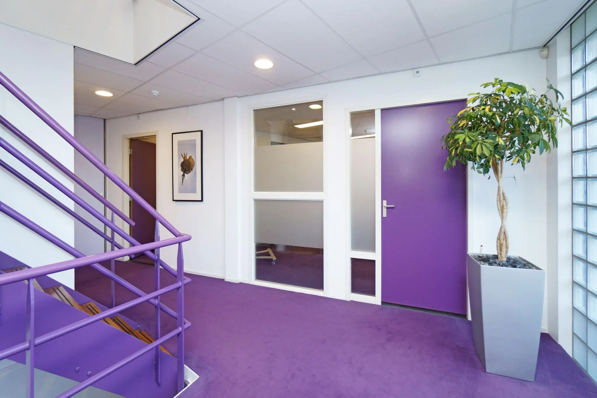 Moderne kantoorgang aan de Zuiderweg met paarse vloerbedekking, paarse deuren en trapleuning, een grote plant in een grijze pot en kunst aan de muur.