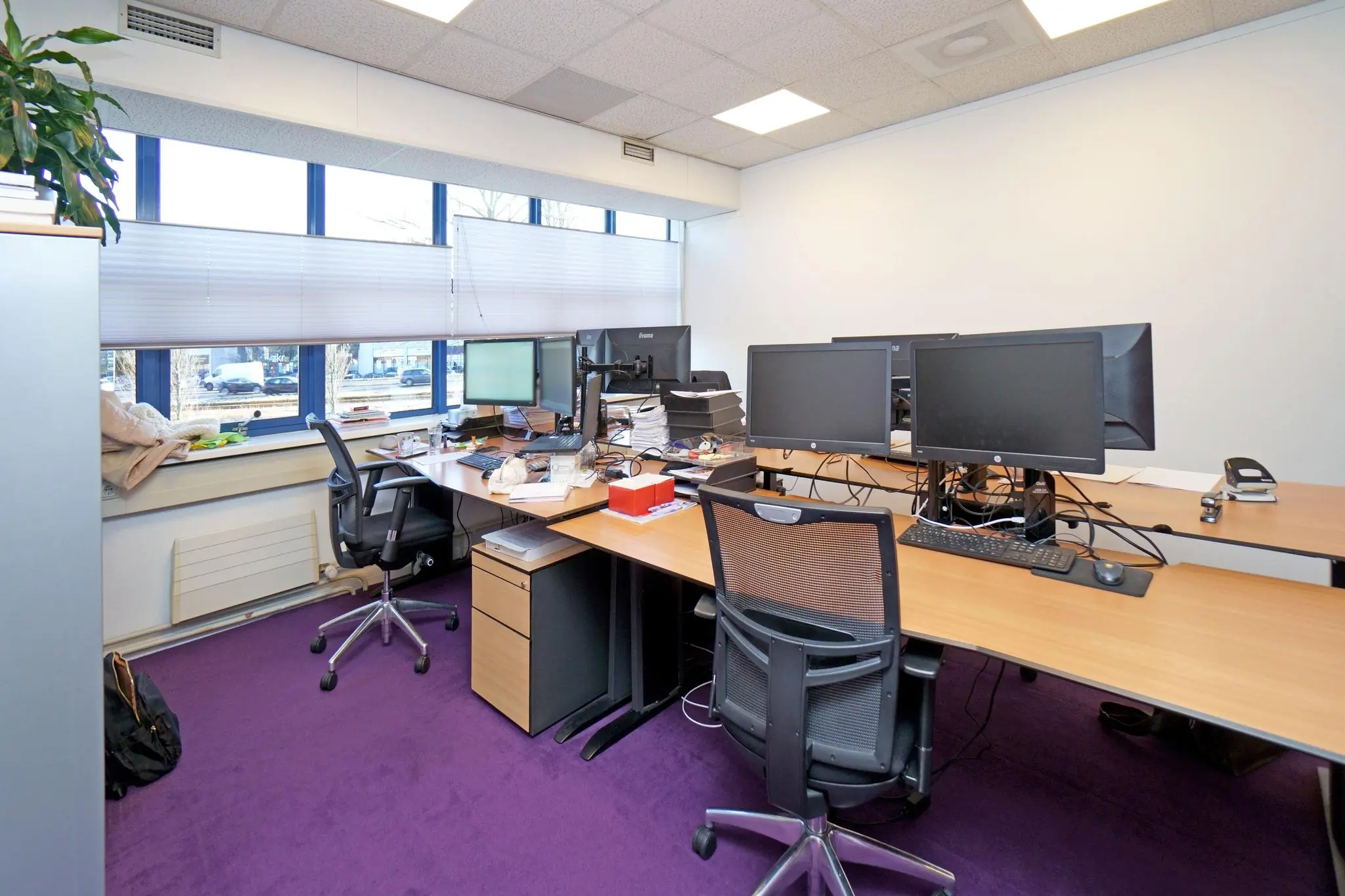 Kantoorruimte aan de Zuiderweg met werkplekken, meerdere computerschermen en paarse vloerbedekking.