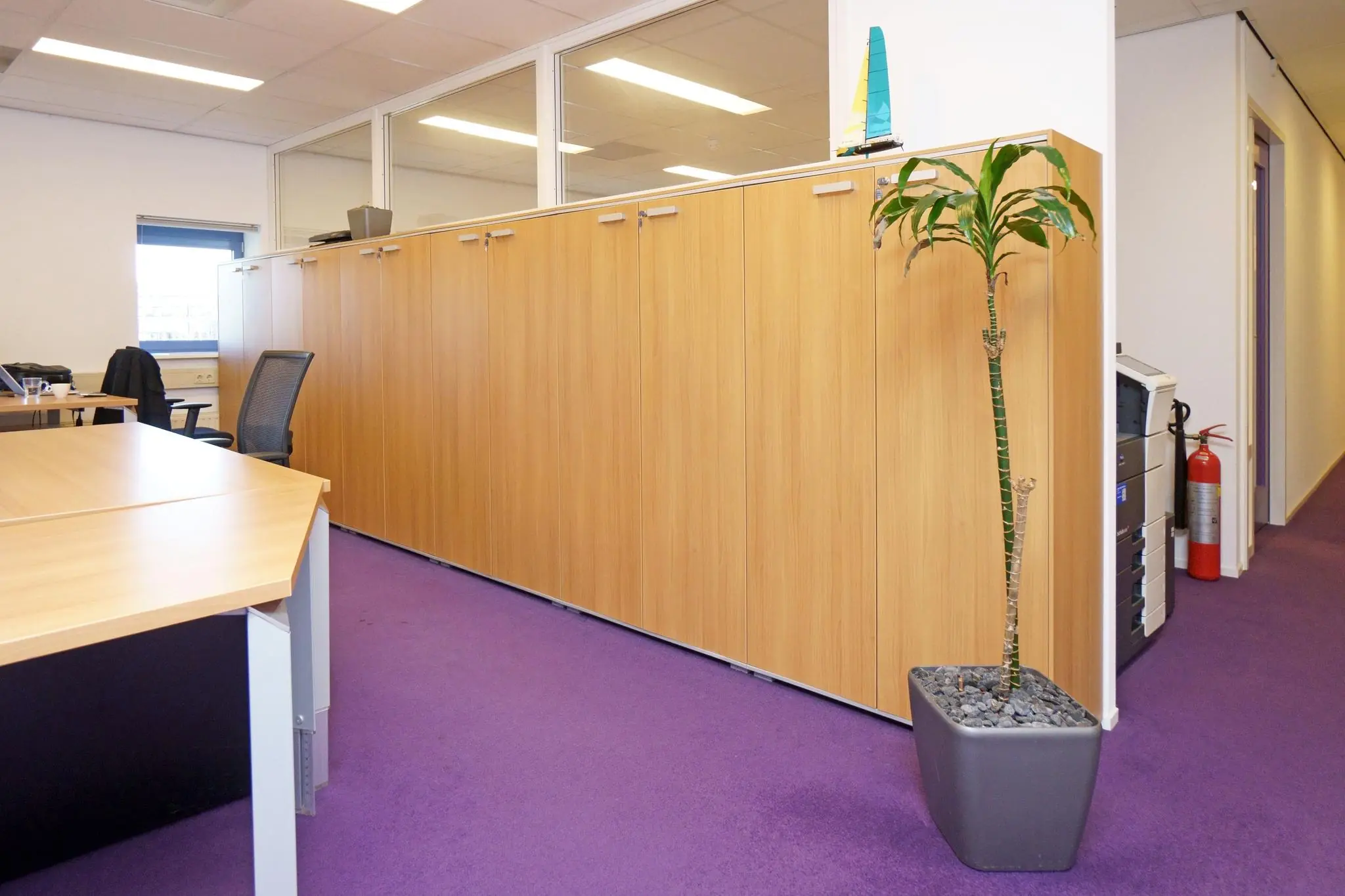 Kantoorruimte aan de Zuiderweg met paarse vloerbedekking, houten kastenwand, bureaus en een hoge kamerplant in een grijze pot.