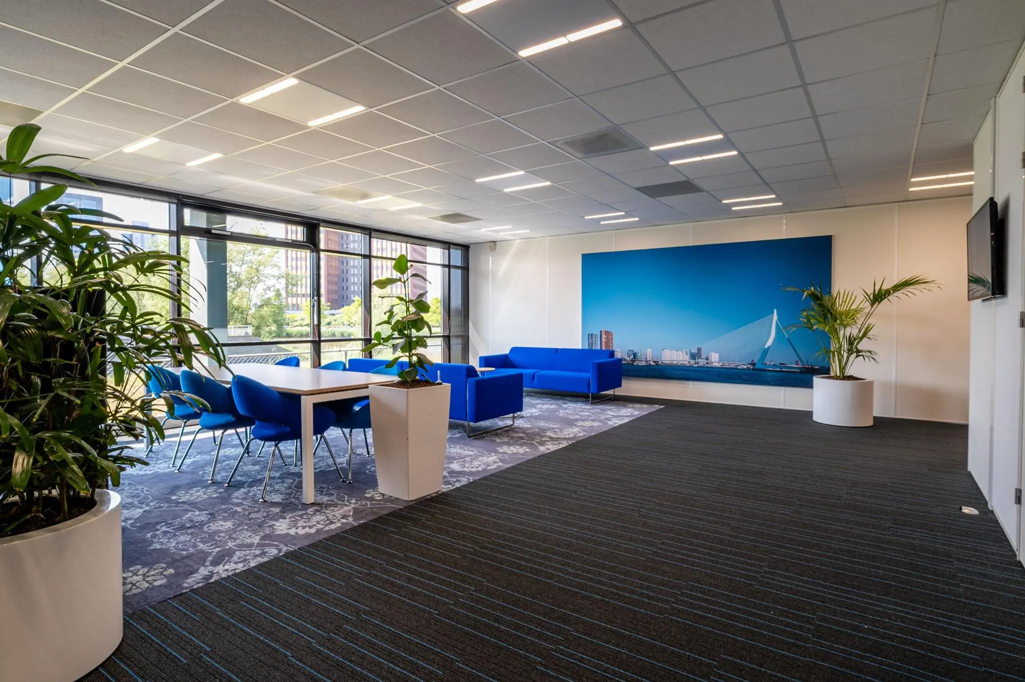 Moderne kantoorruimte aan de Bahialaan met blauwe meubels, veel planten en een grote foto van de Erasmusbrug aan de muur.