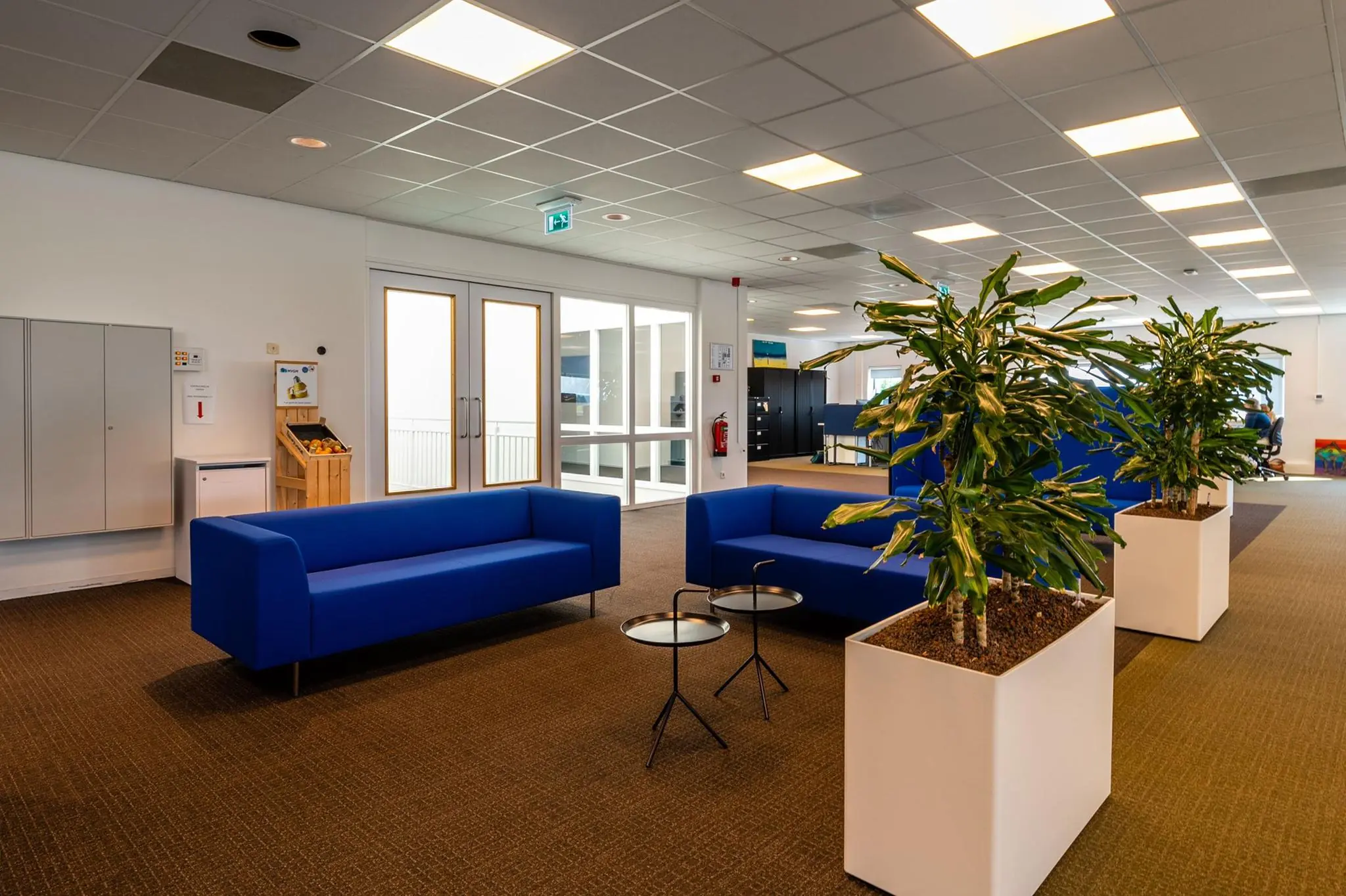 Modern ingerichte kantoorlounge met blauwe banken, kamerplanten en natuurlijk licht aan de Bahialaan.
