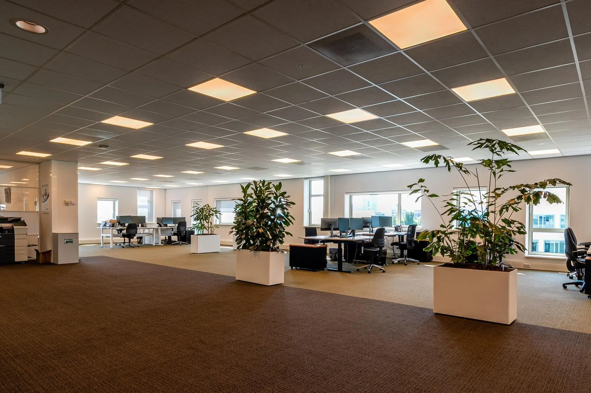 Moderne open kantoorruimte aan de Bahialaan met bureaus, kantoorstoelen en grote kamerplanten.