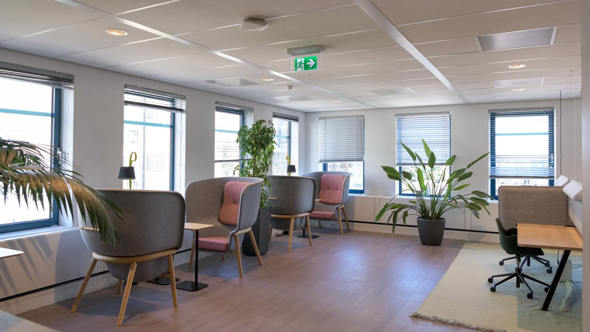 Moderne en lichte werkruimte aan het Enthovenplein met comfortabele werkplekken, planten en grote ramen.