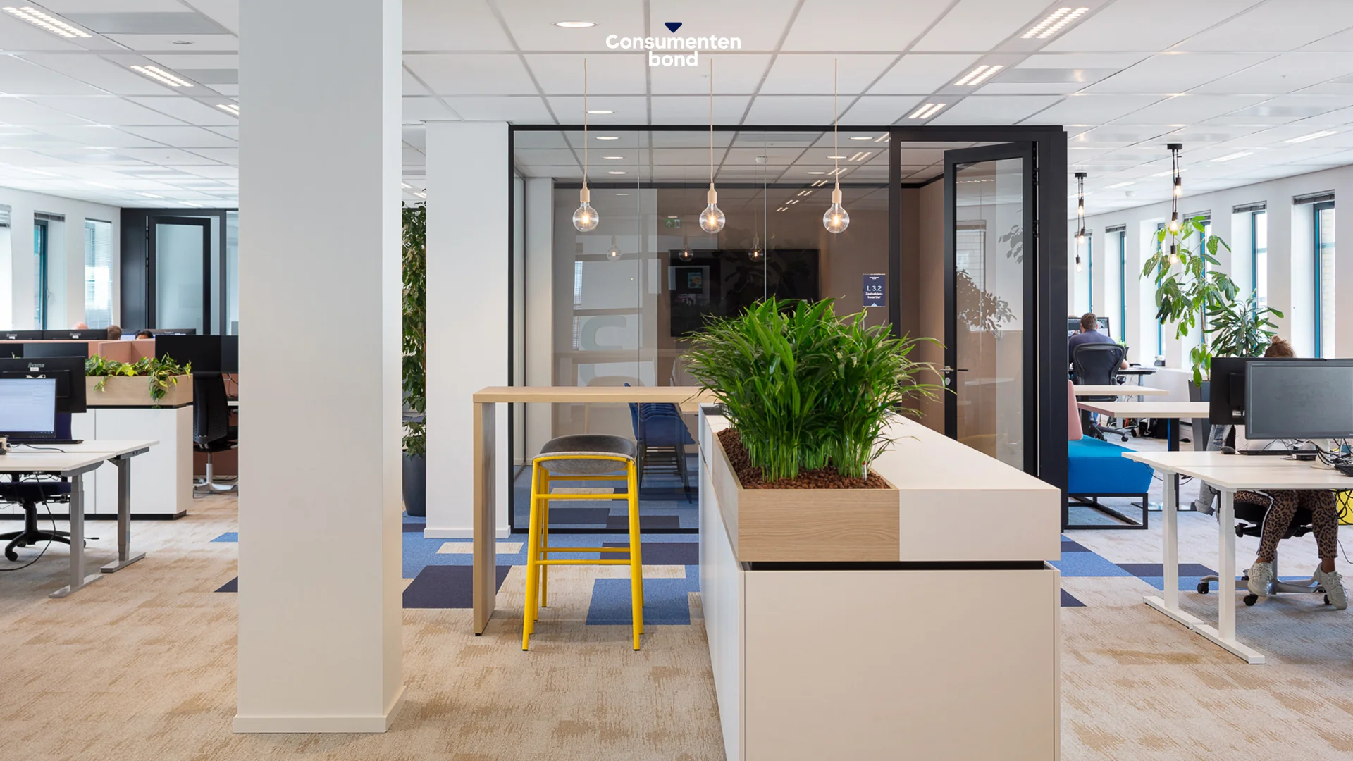 Modern kantoorinterieur van de Consumentenbond op het Enthovenplein met werkplekken, planten en vergaderruimtes.