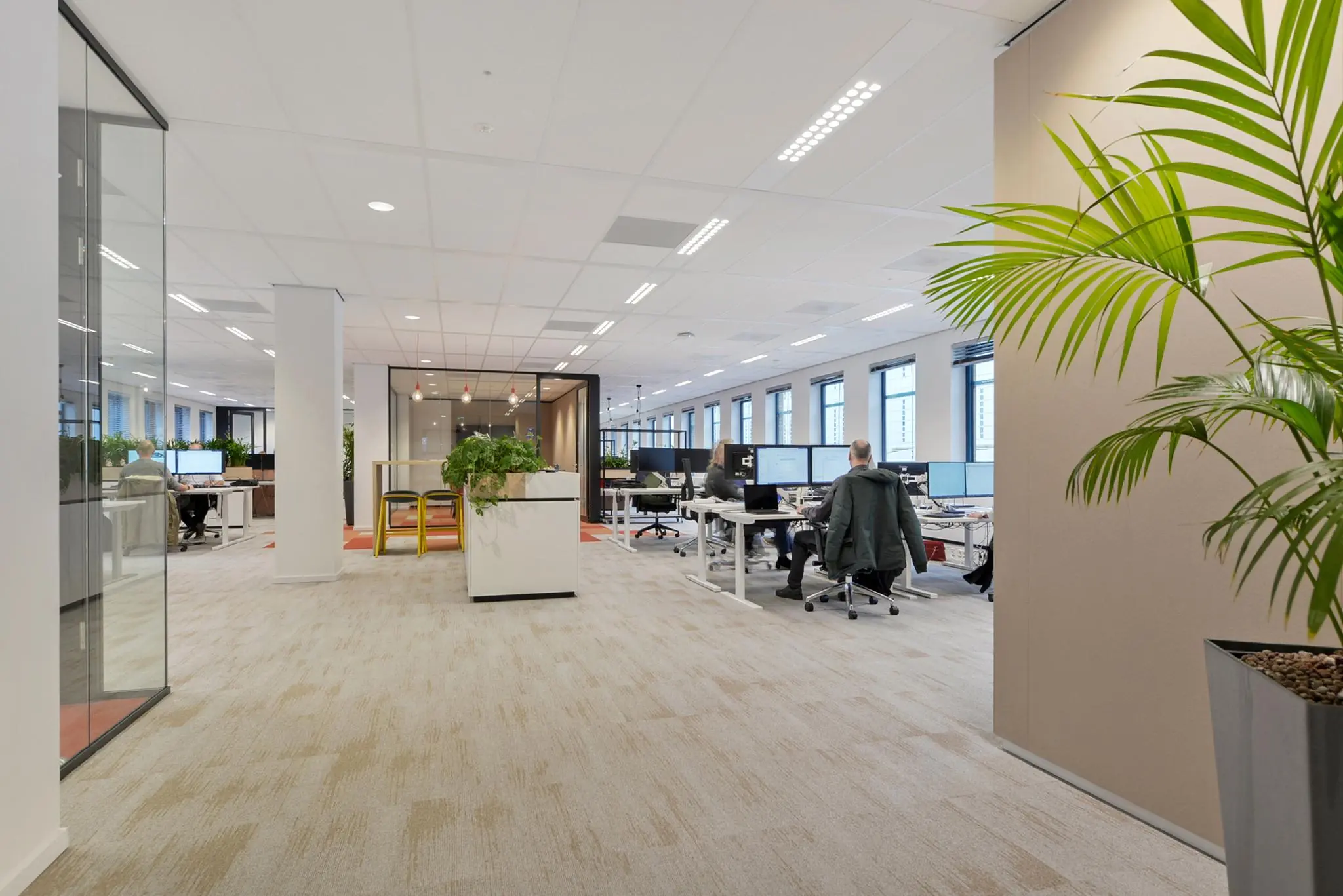 Moderne en open kantoorruimte aan het Enthovenplein met werkplekken, glazen vergaderruimtes en veel groen.