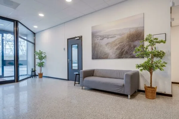 Wachtkamer met grijze bank, planten en een grote wandfoto van duinen in Zonnebaan.