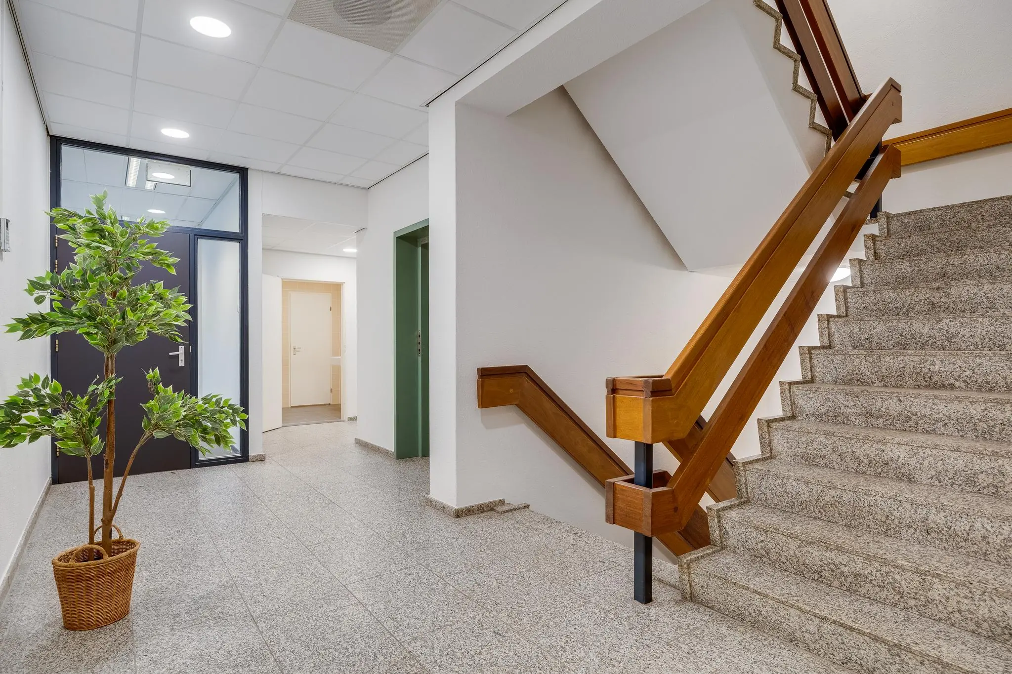 Hal met trap van natuursteen, houten leuning, binnendeuren en een kamerplant bij Zonnebaan 172 in Utrecht.