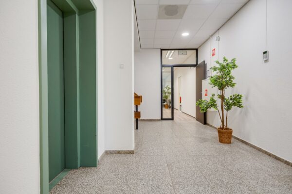 Moderne, lichte kantoorhal met groene liftdeuren, nepplanten en doorgang naar andere ruimtes aan de Zonnebaan.