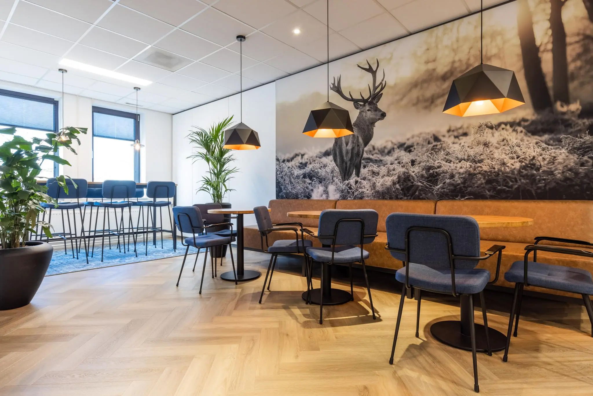 Moderne wachtruimte aan de Plesmanstraat met houten vloer, blauwe stoelen, planten en een muurfoto van een hert in het bos.