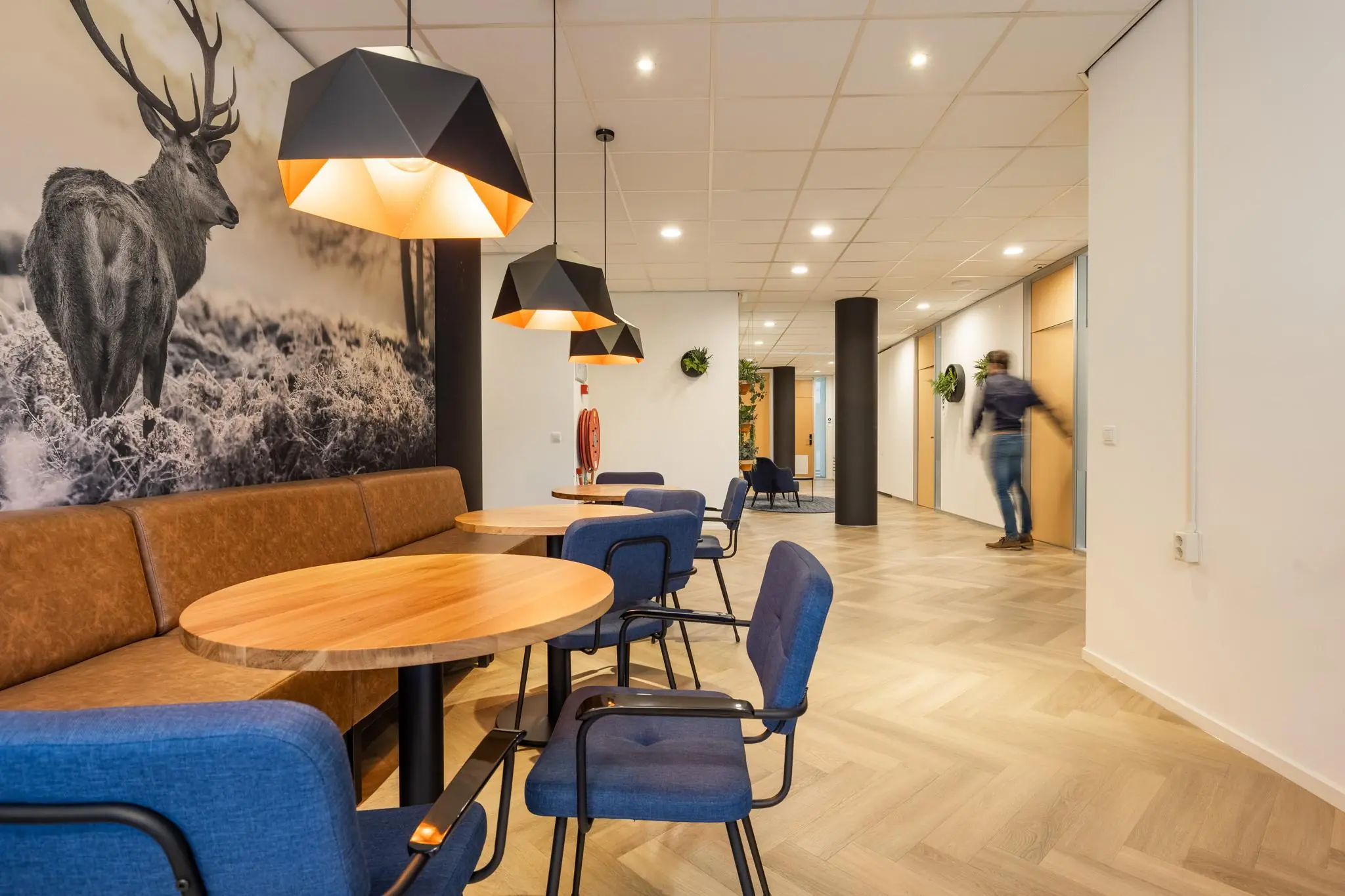 Moderne wachtruimte aan de Plesmanstraat met houten vloeren, blauwe stoelen, wanddecoratie met een hert en geometrische hanglampen.