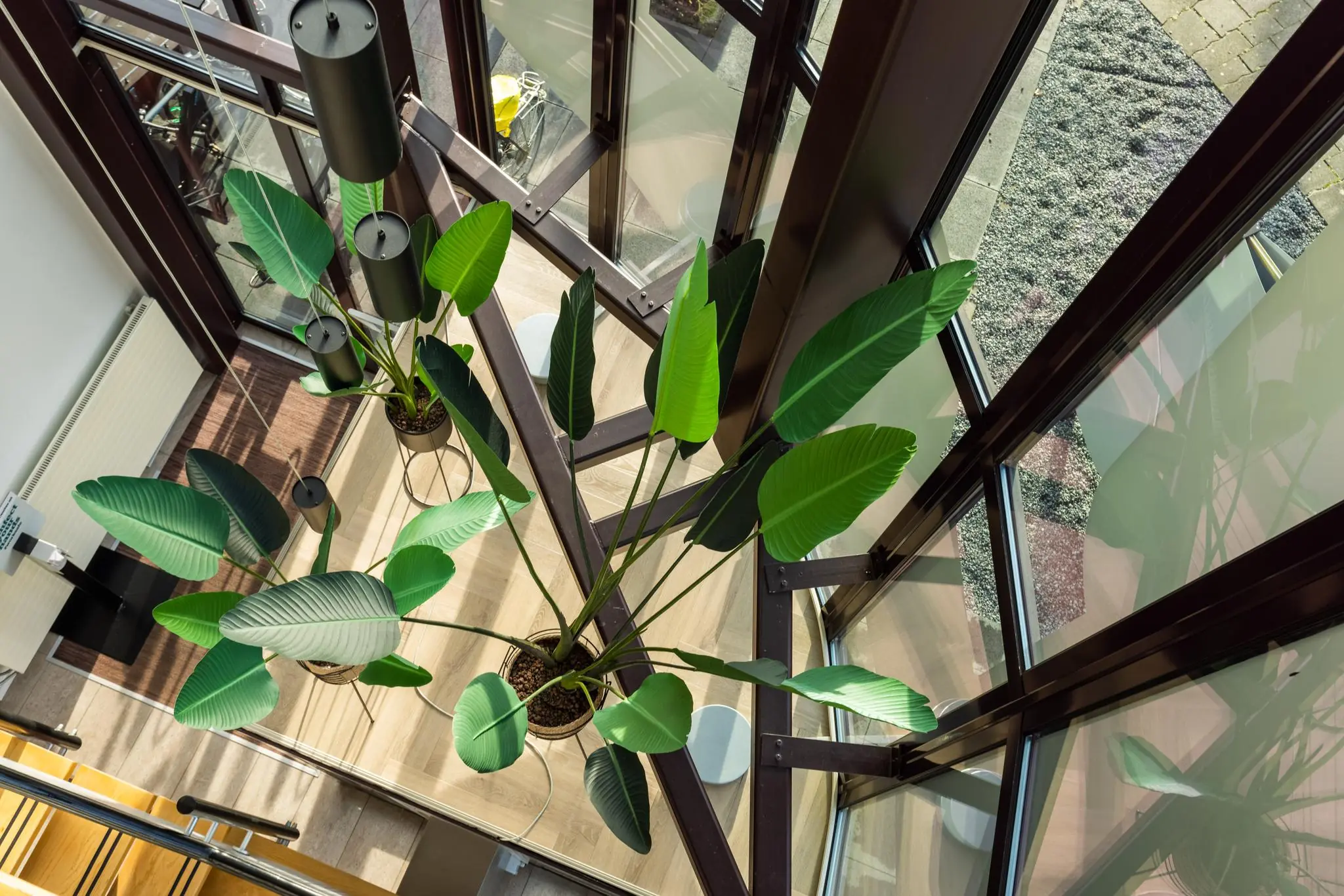 Grote groene kamerplanten in een licht trappenhuis met hoge ramen aan de Plesmanstraat.