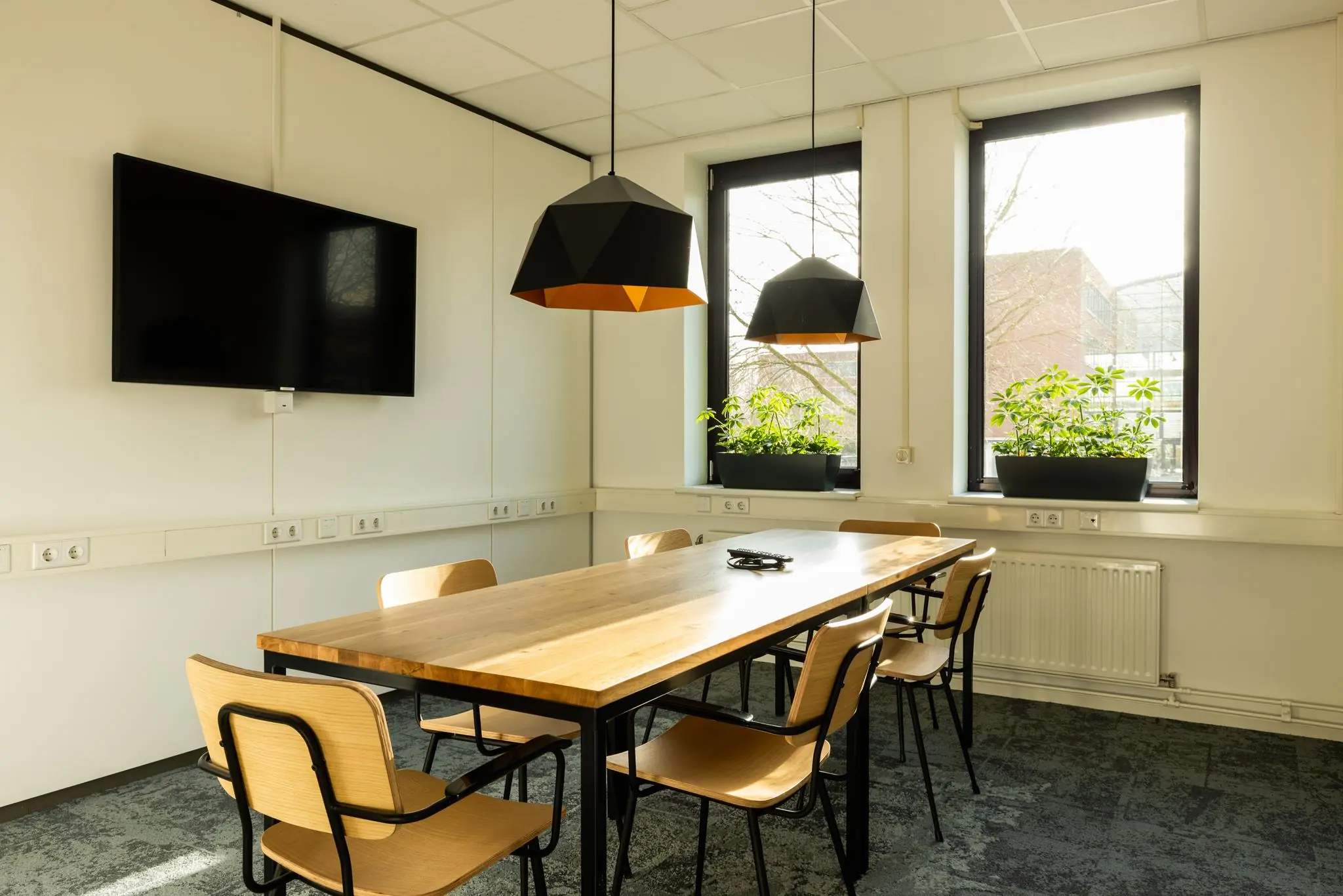 Vergaderruimte aan de Plesmanstraat met houten tafel, zes stoelen, flatscreen-tv, hanglampen en twee ramen met plantenbakken.