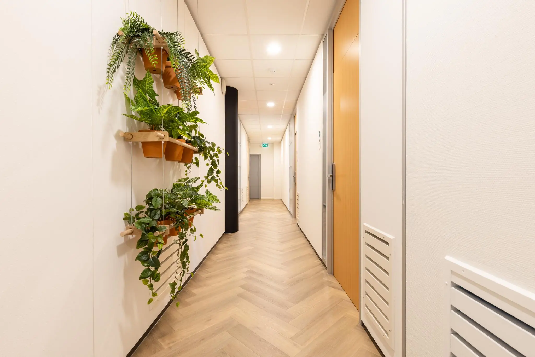 Verlichte gang in een modern kantoorpand aan de Plesmanstraat met houten vloer en wandrekken met groene planten.