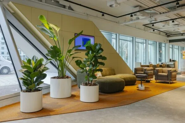 Modern ingerichte wachtruimte aan de Schenkkade met grote kamerplanten, comfortabele zitmeubels en veel daglicht.