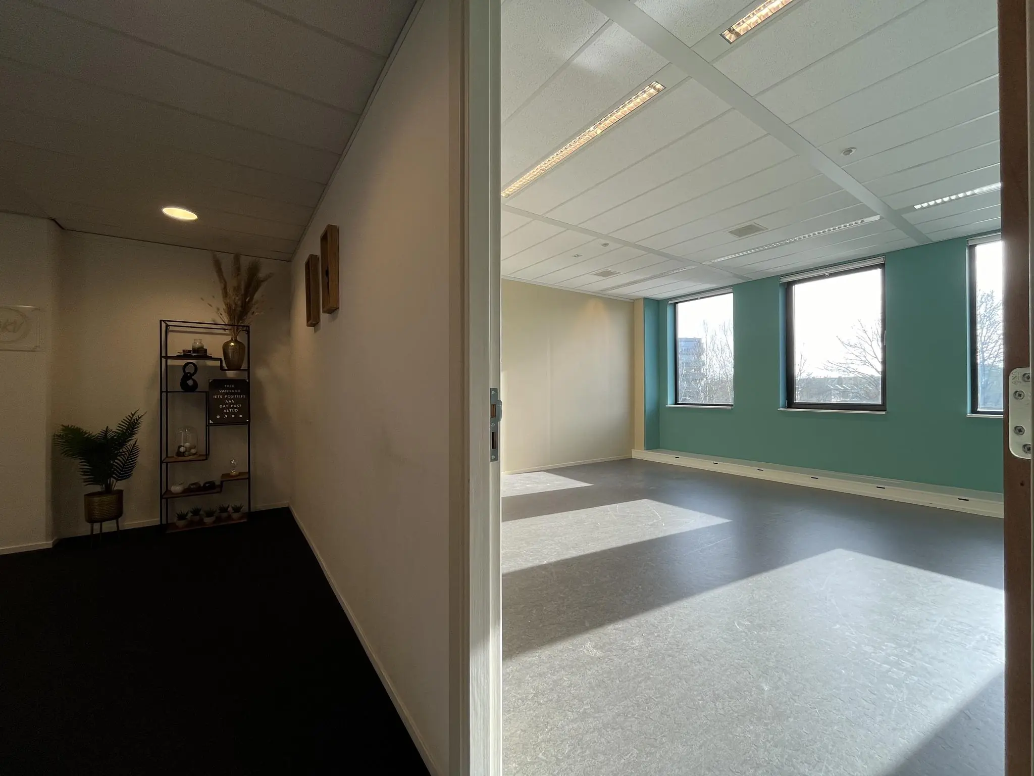 Een halfopen deur met zicht op een lichte, lege ruimte met grote ramen en een turquoise muur, naast een sfeervol ingerichte hal met wanddecoratie en planten.