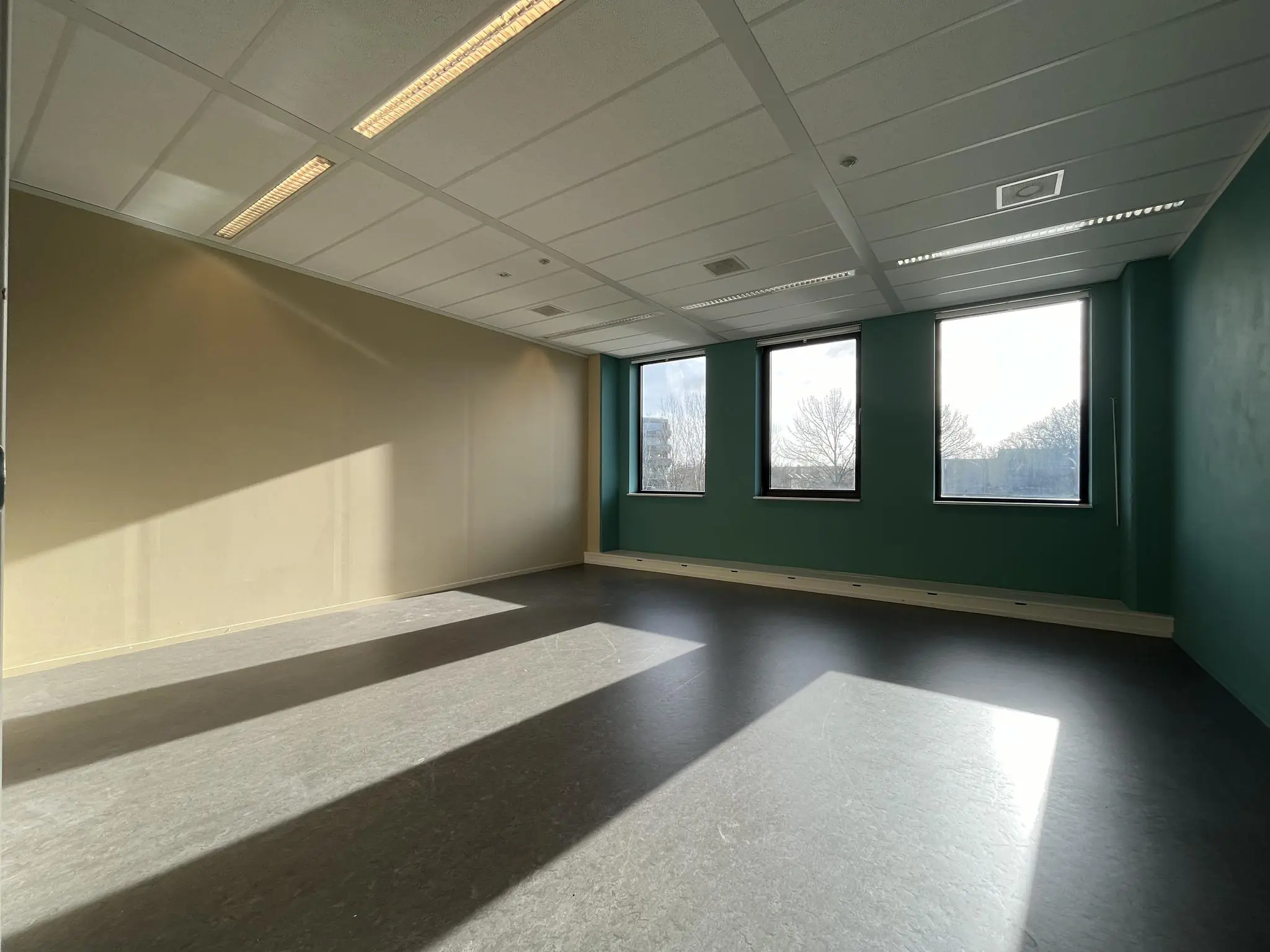 Lichte, lege kantoorruimte met drie grote ramen en zonlicht dat op de vloer valt.