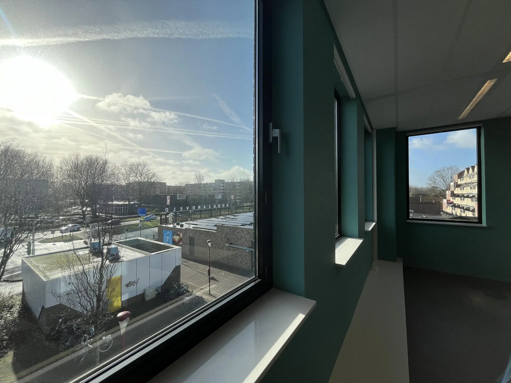 Uitzicht vanuit een gebouw op een zonnige dag over de wijk met zicht op een Albert Heijn en een straat met bomen.