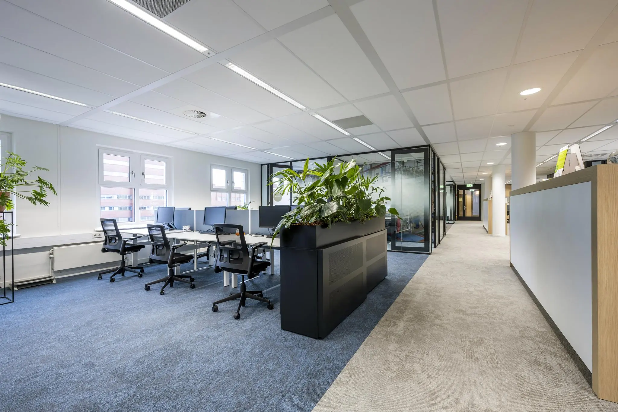 Modern kantoorinterieur aan het Stationsplein met werkplekken, plantenbak en glazen vergaderruimtes.