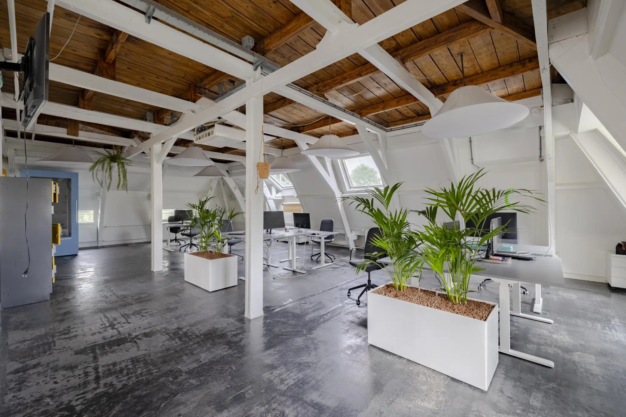 Modern kantoorinterieur aan de Plantage Middenlaan met houten balkenplafond, witte muren, werkplekken en grote plantenbakken.