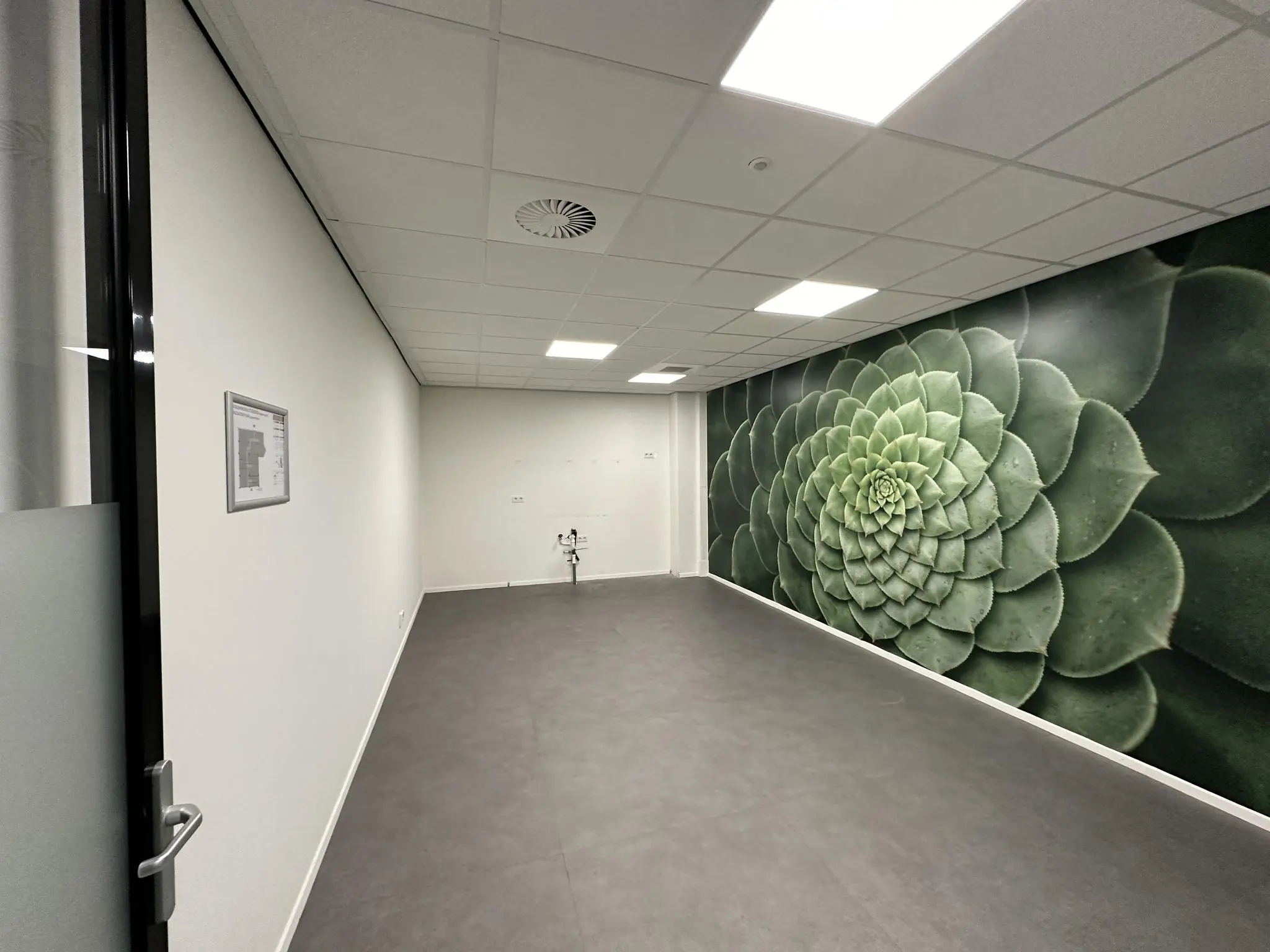 Leeg kantoorruimte aan de Coolsingel met een grote muurprint van een groene vetplant.