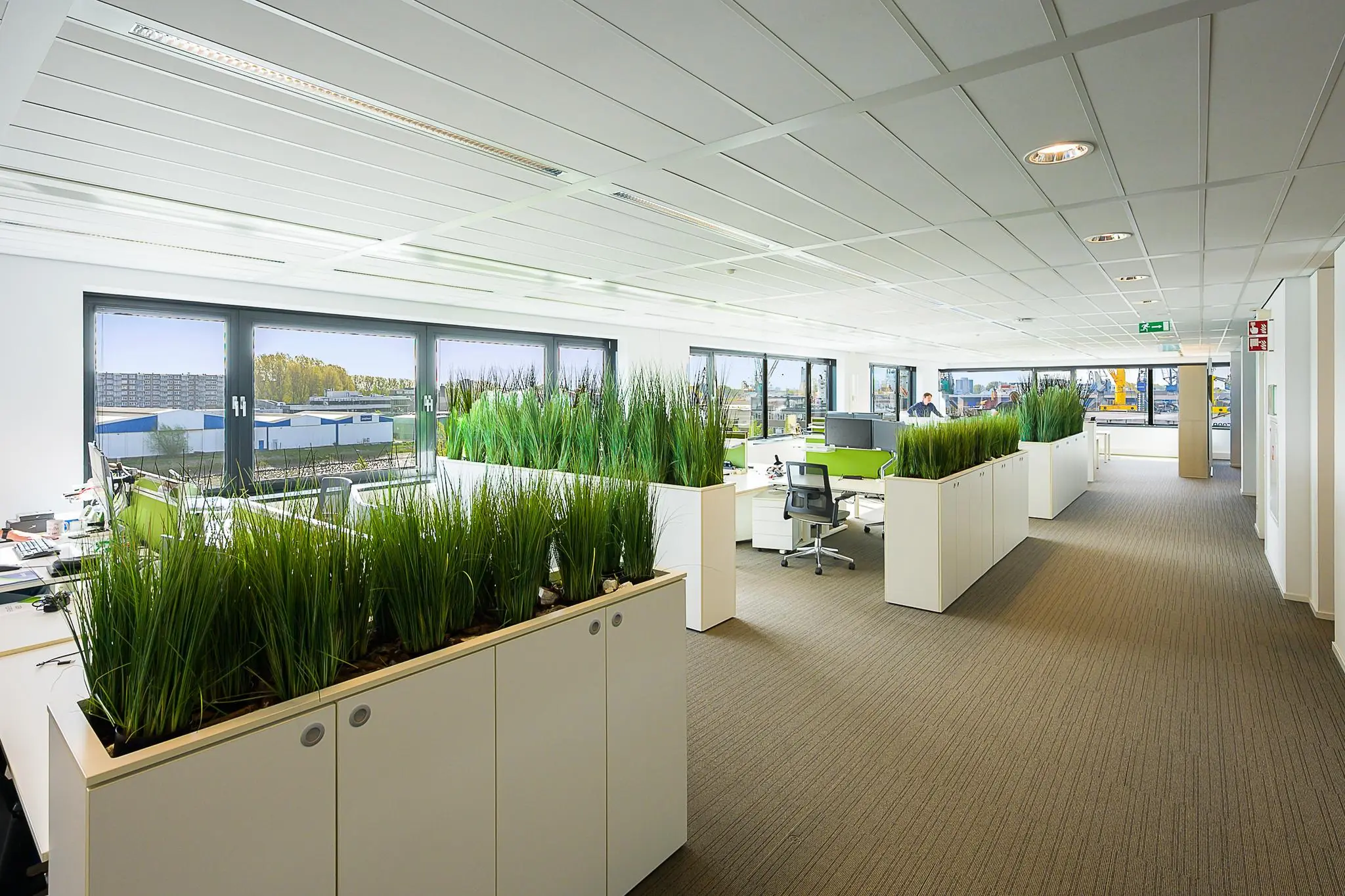 Modern kantoorinterieur aan de Willingestraat met open werkplekken, veel daglicht en groene planten als scheidingswanden.