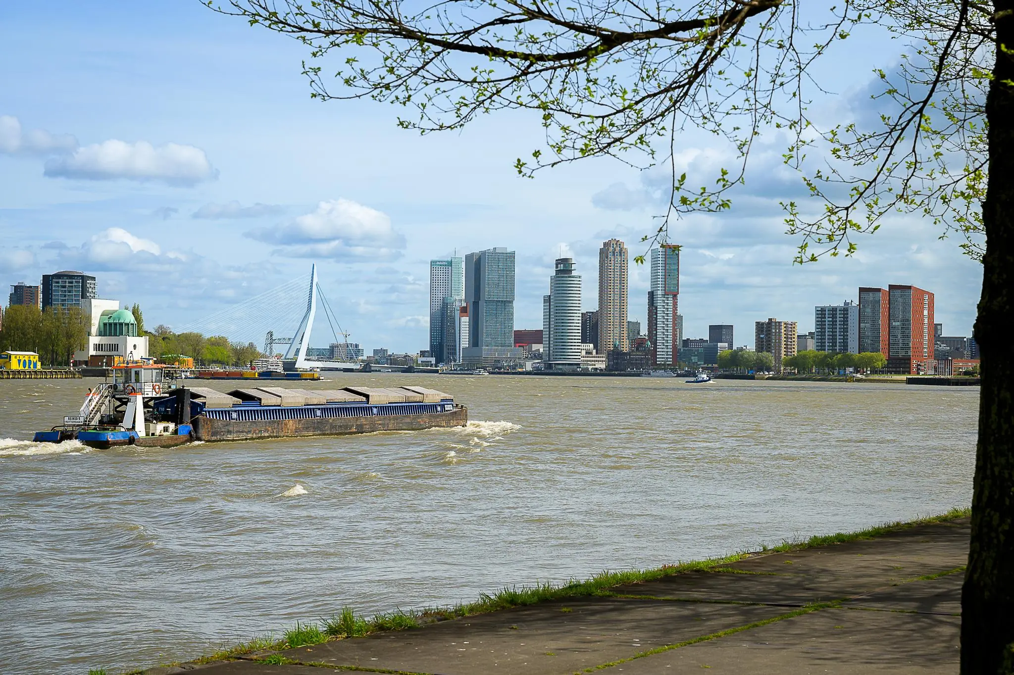 Zicht op de skyline van Rotterdam met de Erasmusbrug en een varend vrachtschip op de Nieuwe Maas vanaf de Willingestraat.