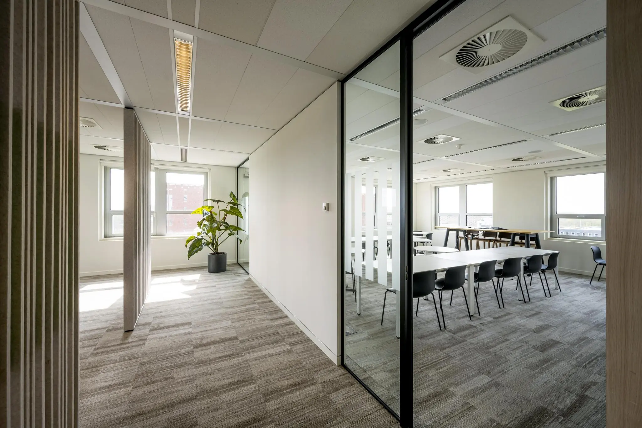 Moderne kantoorruimte aan de Orteliuslaan met glazen vergaderruimte en een grote kamerplant bij het raam.