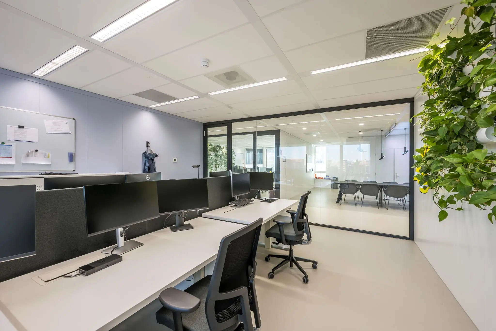 Moderne kantoorruimte aan de Paalbergweg met werkplekken, glazen vergaderruimte en groene muurdecoratie.
