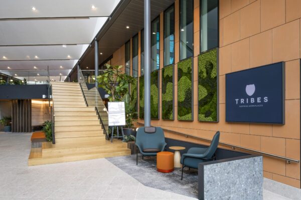 Moderne kantoorlobby aan de Jachthavenweg met houten trap, groene plantenwand en Tribes-logo.