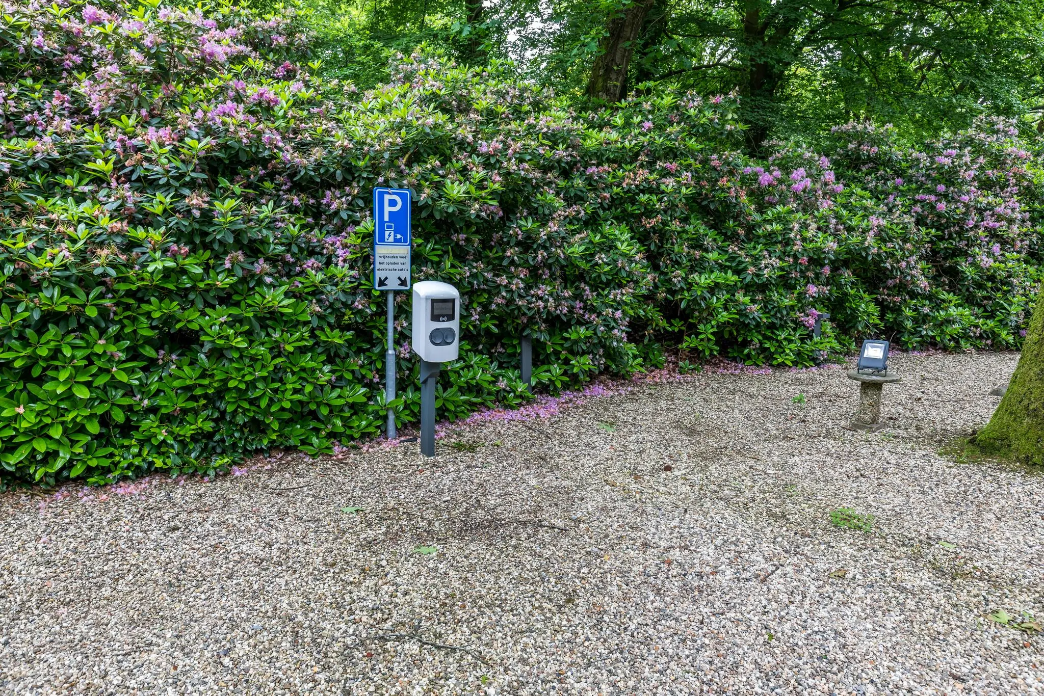 Oplaadpunt voor elektrische auto's op een grindparkeerplaats langs de Amersfoortsestraat, omgeven door bloeiende struiken.