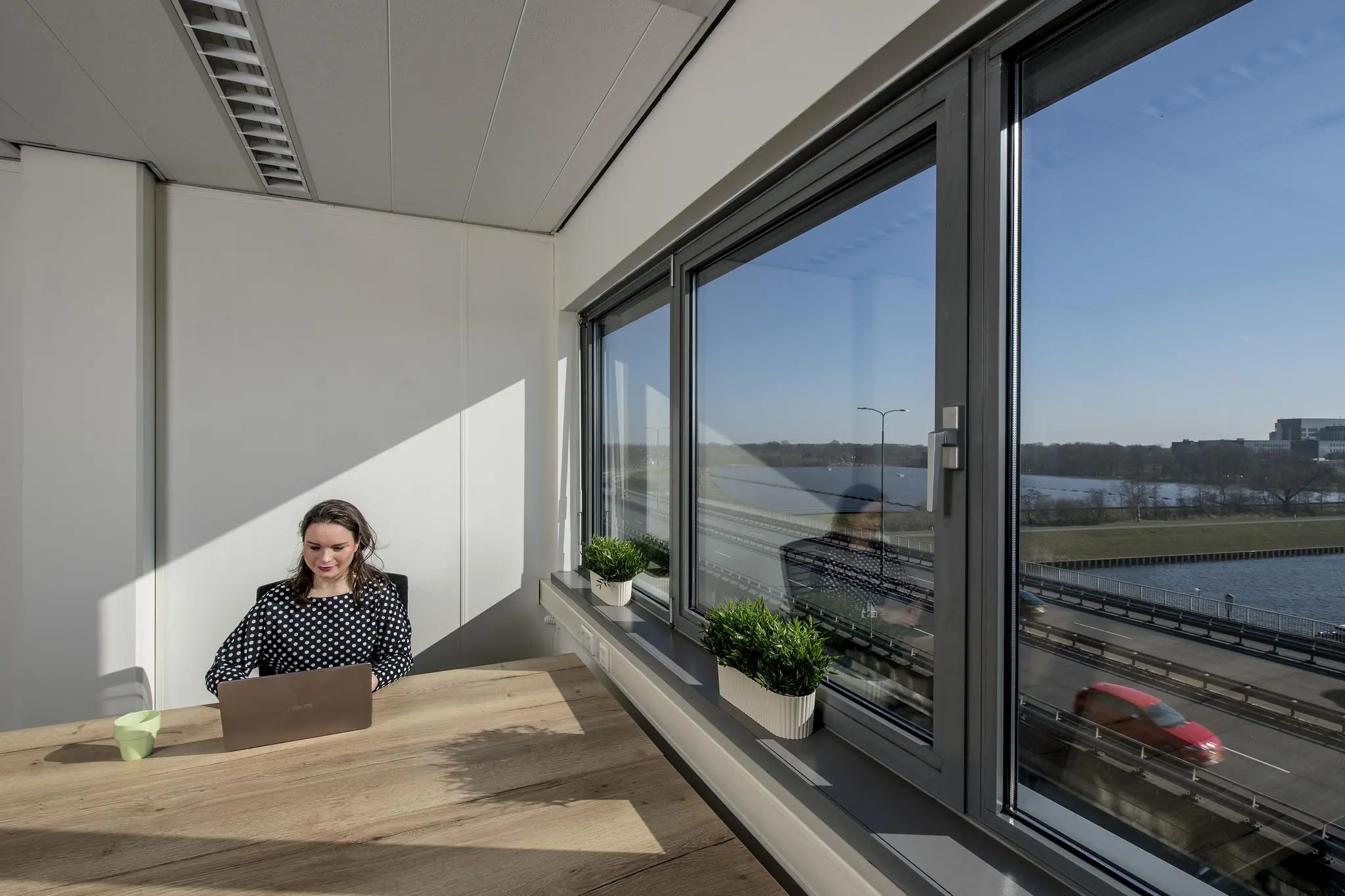 Vrouw werkt op laptop aan houten tafel in zonnig kantoor met uitzicht op Vanadiumweg en het water.