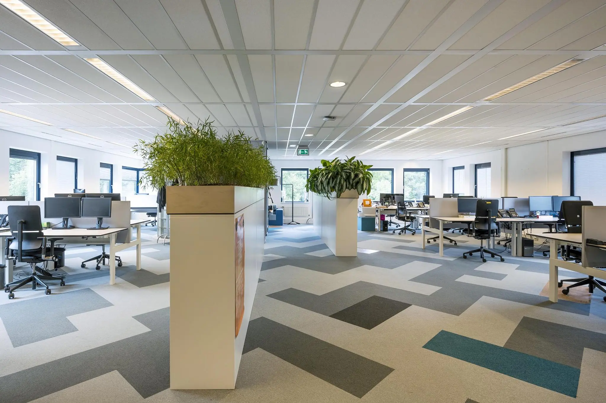 Modern kantoorinterieur aan de Amersfoortseweg met open werkplekken, planten en geometrisch patroon in het tapijt.