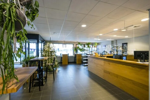Moderne koffiezaak aan de Spaklerweg met houten balie, kerstboom en veel groen.