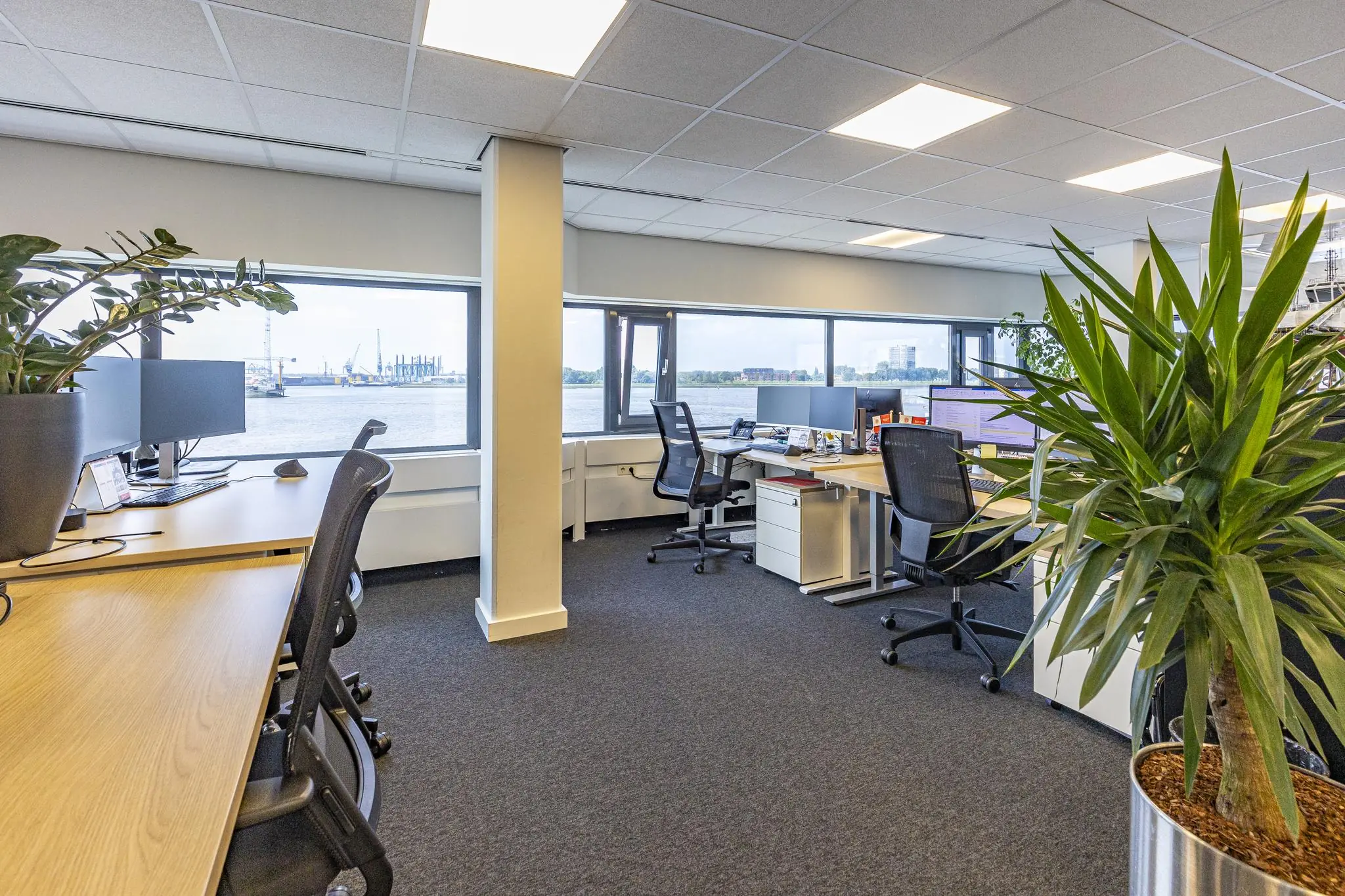Modern kantoor aan de Havenstraat met werkplekken, planten en uitzicht op de haven door grote ramen.