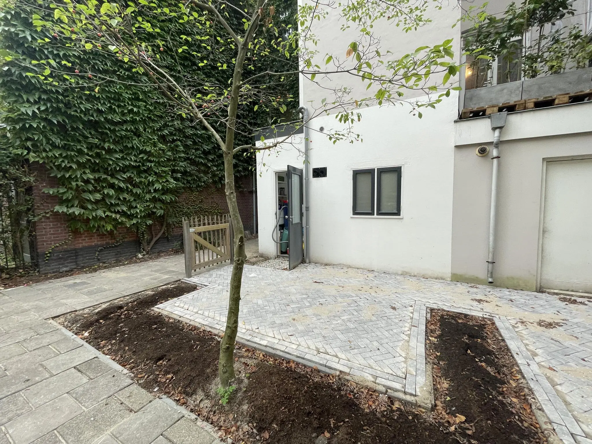 Voortuin van een woning aan de Westerstraat met nieuwe bestrating, een jonge boom en een fietsenstalling bij de zij-ingang.