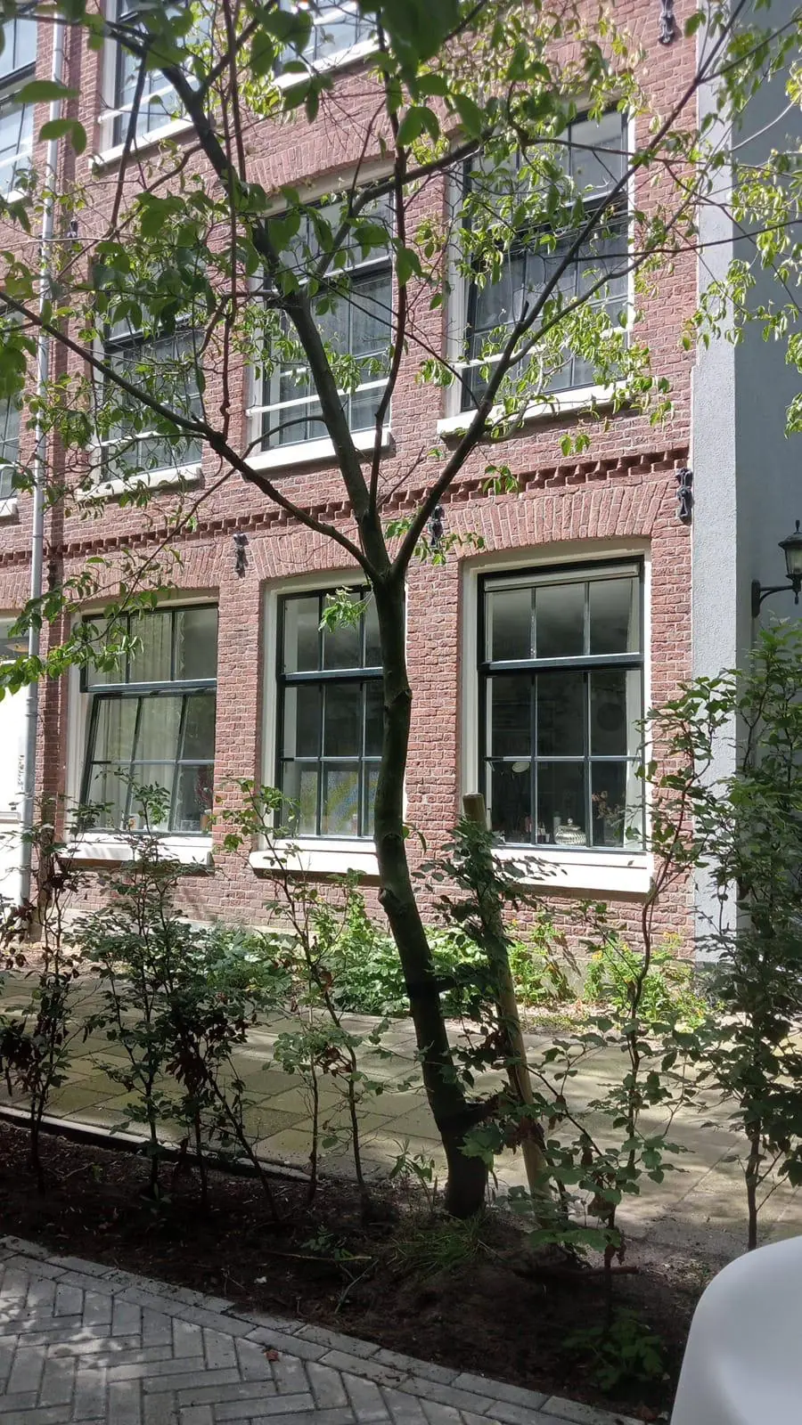 Boom en struiken in een smalle tuin voor een oud bakstenen pand aan de Westerstraat bij daglicht.