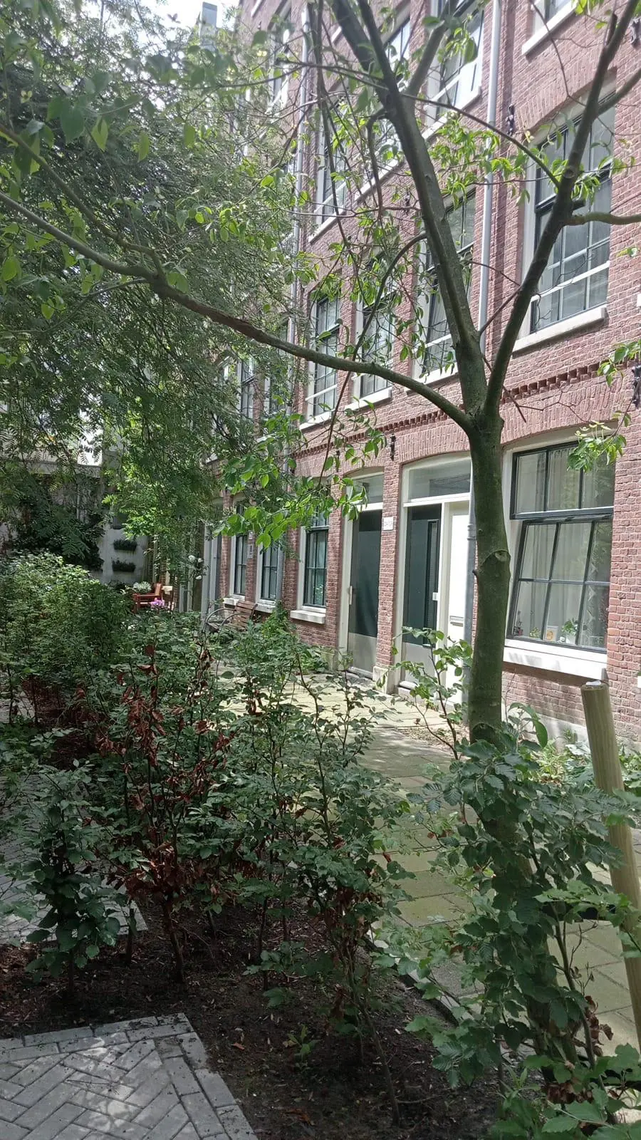 Gevels van bakstenen woningen aan de Westerstraat met een groene binnentuin op de voorgrond.