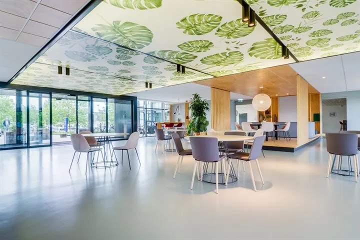 Moderne en licht ingerichte kantoorlounge met zitgedeelte, veel glas en een plafonddecoratie met grote groene bladeren.