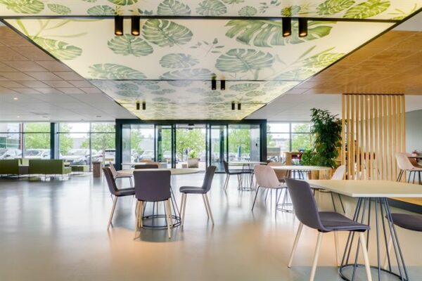 Moderne, lichte bedrijfsruimte met zitplekken, grote ramen en een plafond met bladmotief in Ringwade.