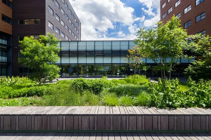 Binnenplaats met houten zitbanken, groen aangelegde tuin en moderne kantoorgebouwen aan de Ringwade.