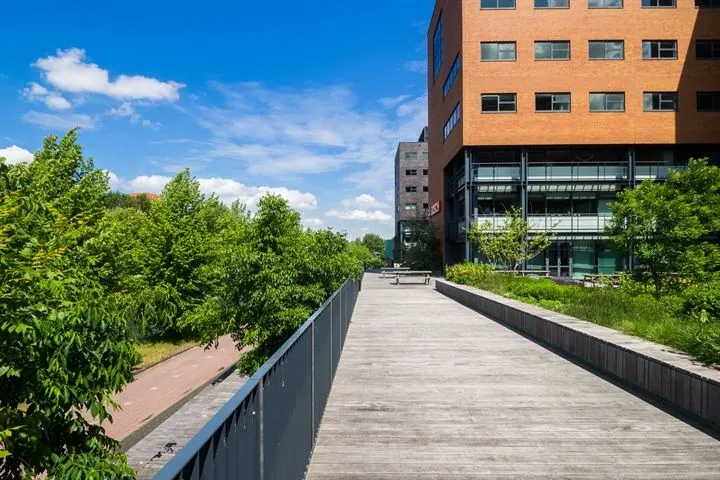 Houten voetgangersbrug met groene beplanting en modern kantoorgebouw aan de Ringwade in een zonnige, stedelijke omgeving.