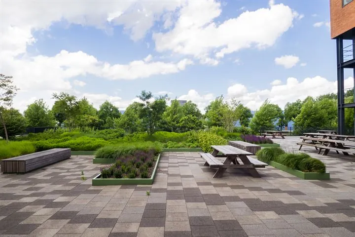Dakterras met houten picknicktafels, plantenbakken en uitzicht op een groene omgeving bij Ringwade.