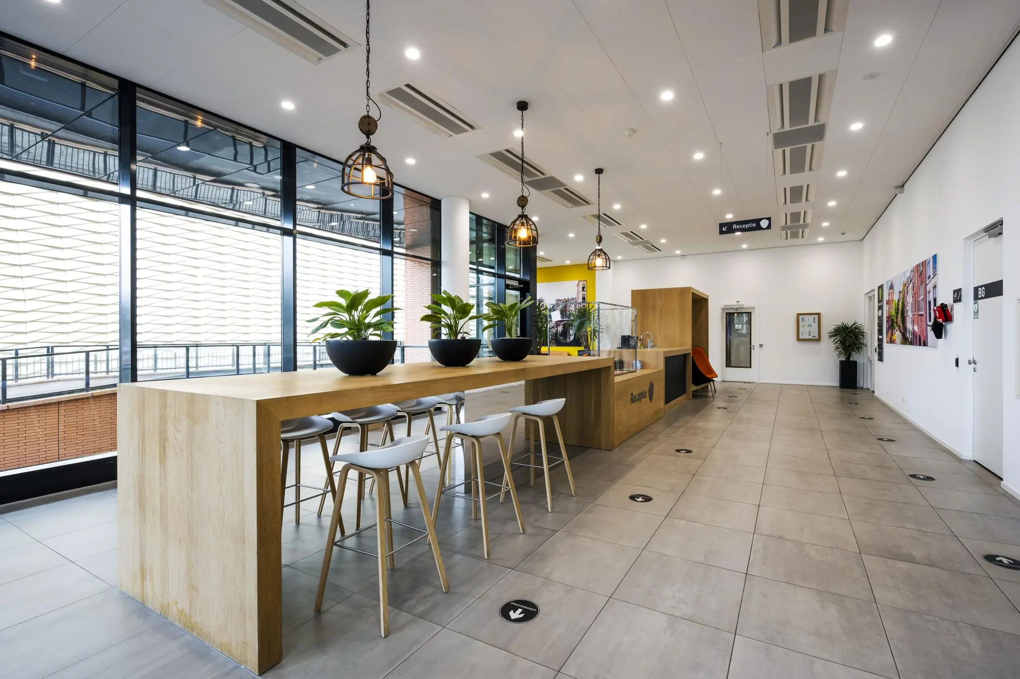 Moderne, ruime ontvangsthal aan de Winthontlaan met houten balie, hoge tafel met krukken, planten en grote ramen.
