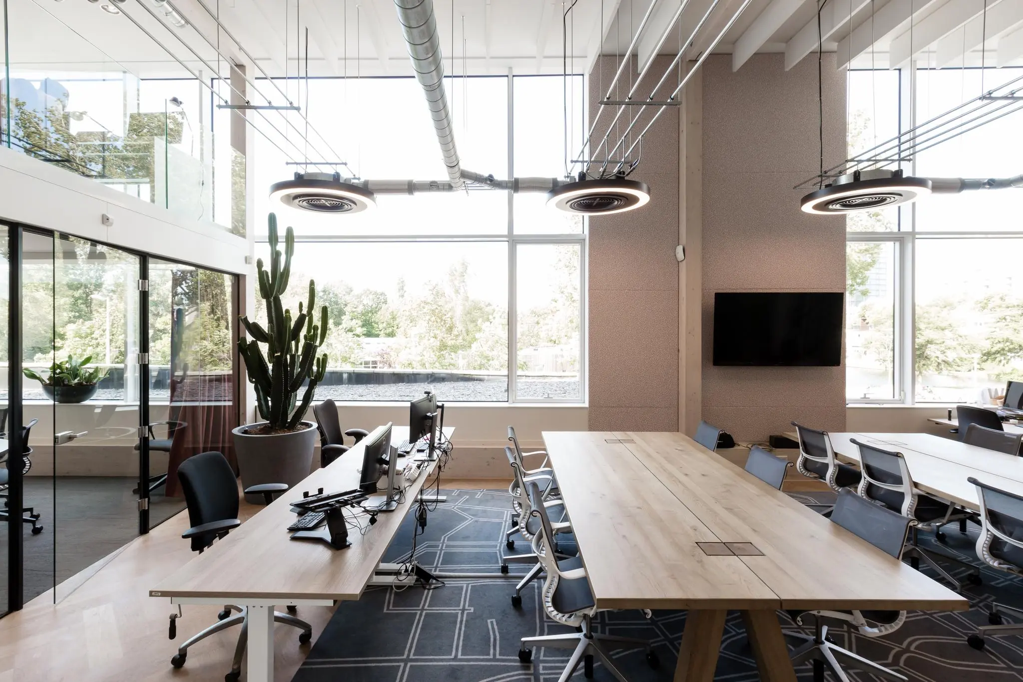 Modern ingerichte kantoorruimte aan de Fred. Roeskestraat met grote ramen, een lange vergadertafel, bureaus met computers en een grote cactus in het midden.