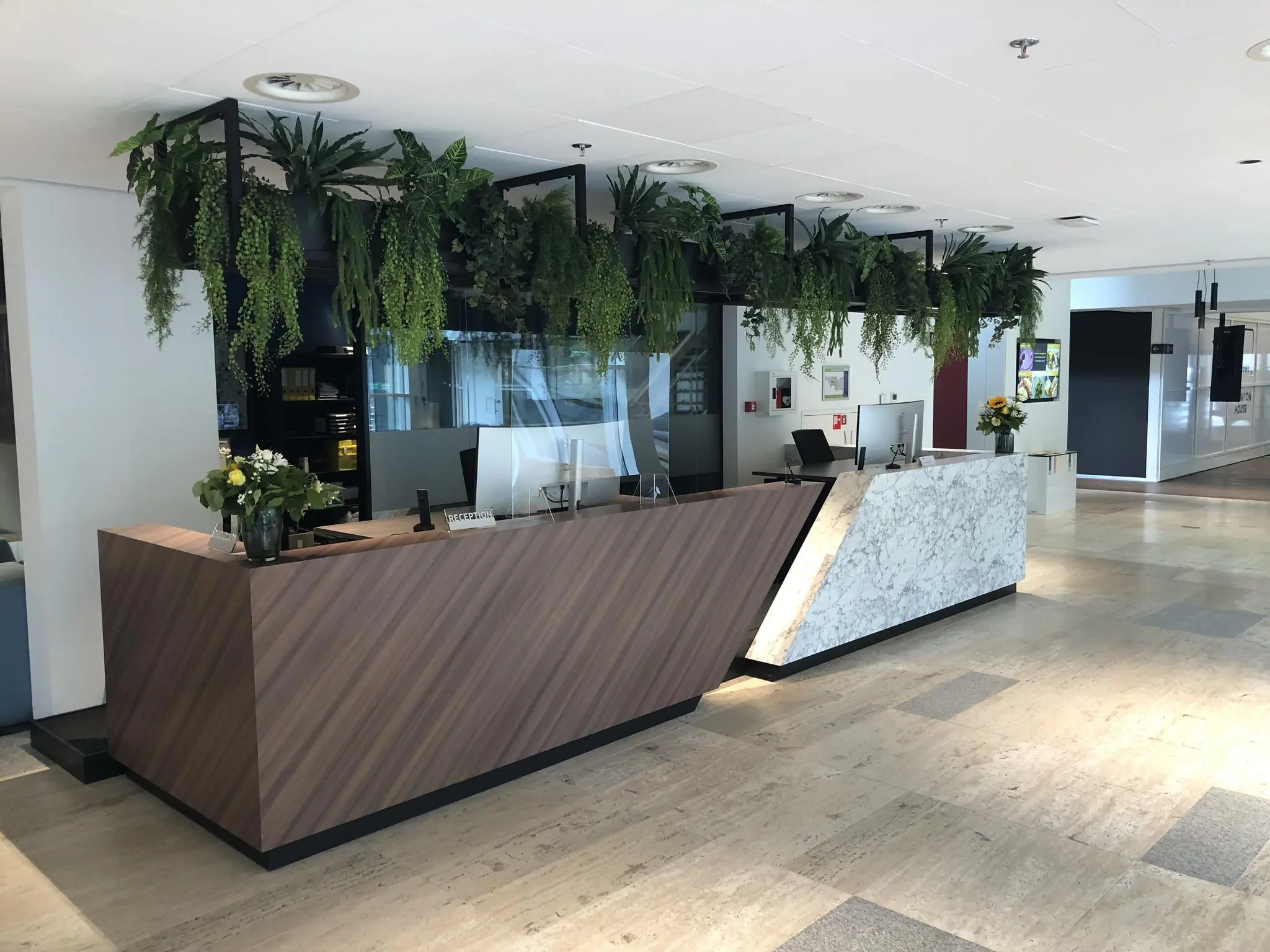 Moderne receptiebalie in het Newtonlaan-kantoor met hangende planten en een marmeren en houten afwerking.